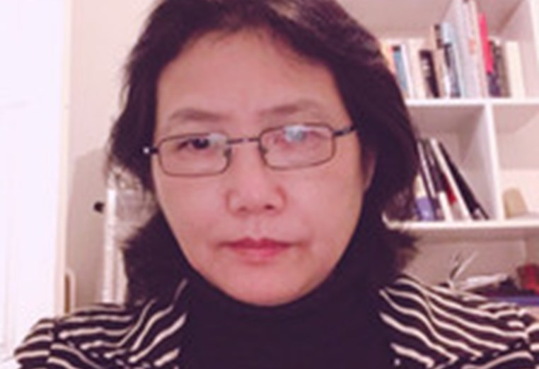 Prof. Hongmei He